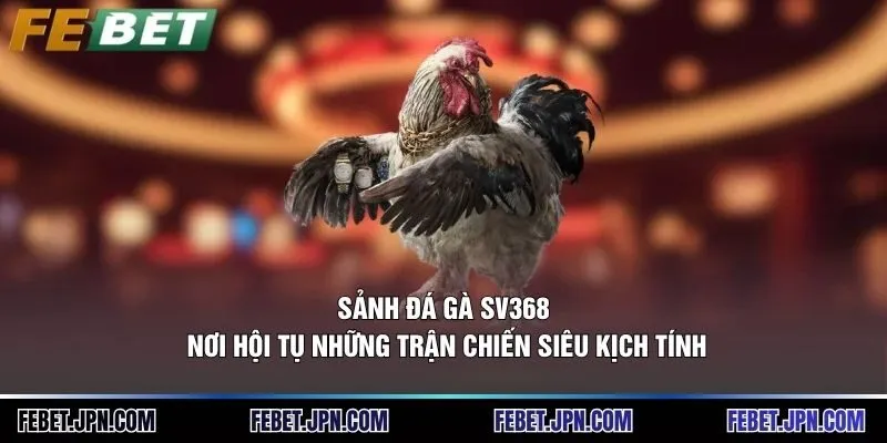 Sảnh Đá Gà Sv368: Nơi Hội Tụ Những Trận Chiến Siêu Kịch Tính 1 Sảnh Đá Gà Sv368: Nơi Hội Tụ Những Trận Chiến Siêu Kịch Tính